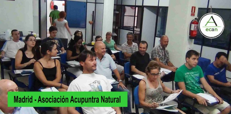 Desde 2005 todos los años en Madrid para el curso de Agosto