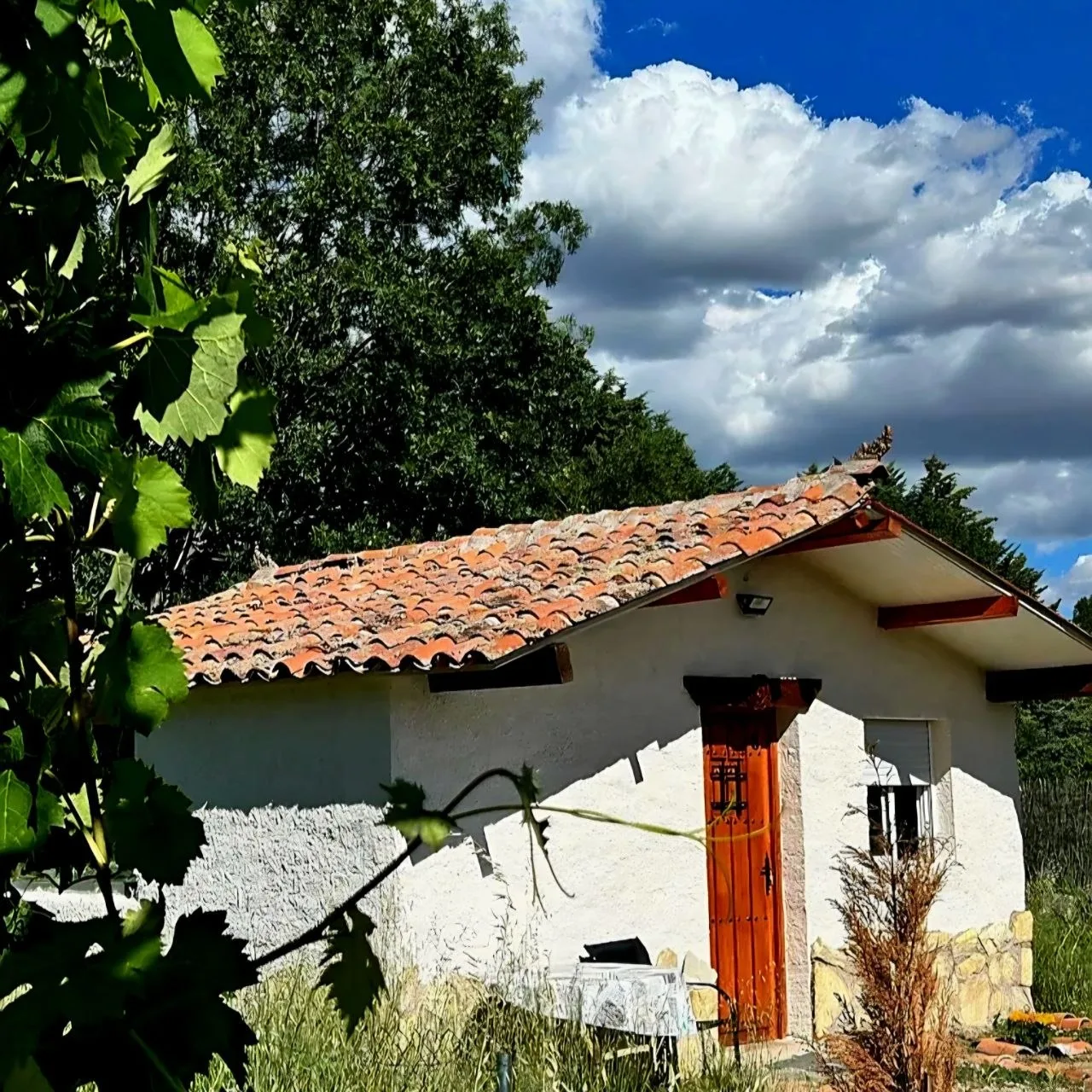 Cabaña con tejado de teja entre la vegetación