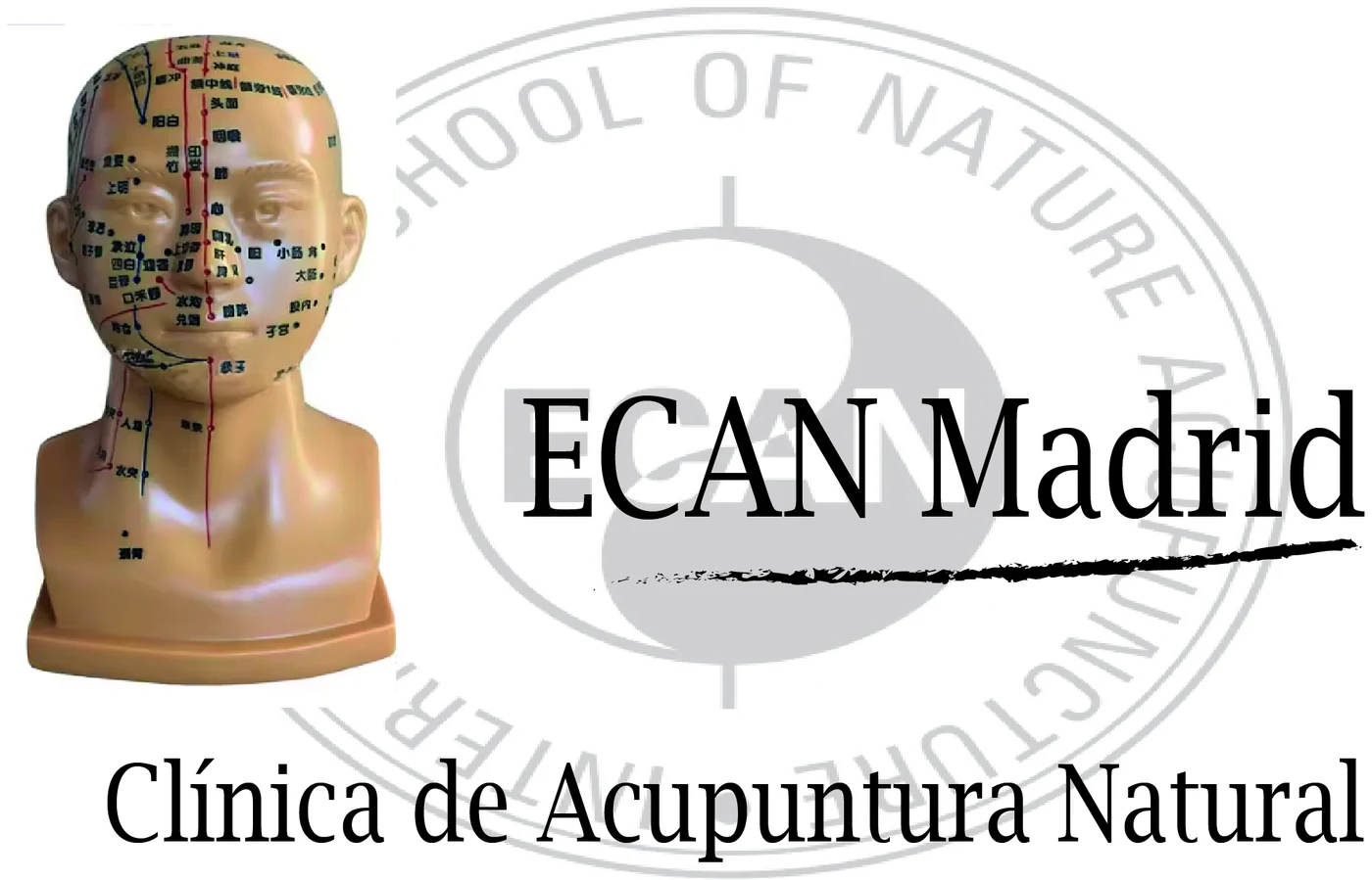 ECAN Madrid — Clínica de Acupuntura Natural